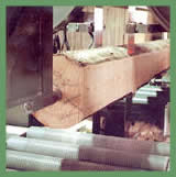 CCA Pine